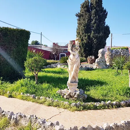 Simpson - Aeroporto Di Bari - Affittacamere-2