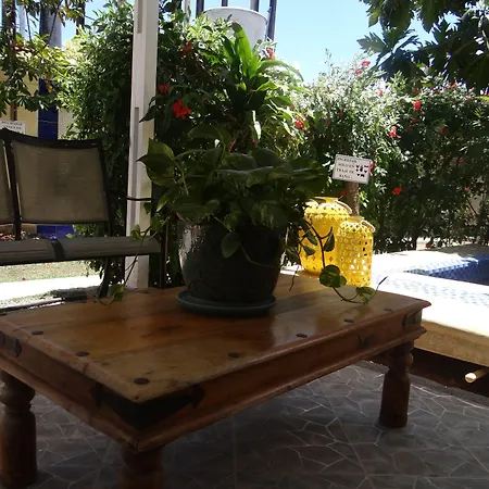 Summer House Inn San Andres-3