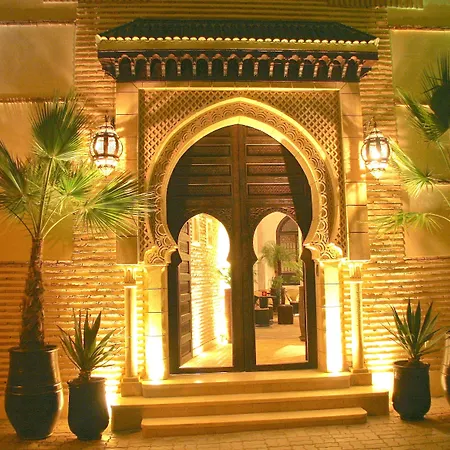 Riad Omri-3
