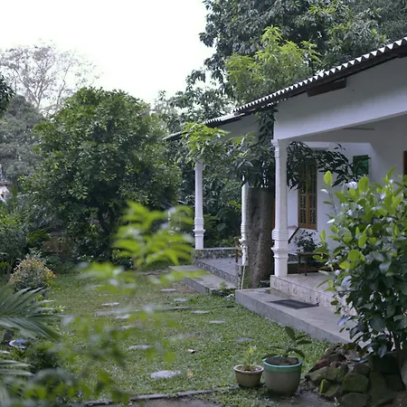 Dambulla Shan Inn-3