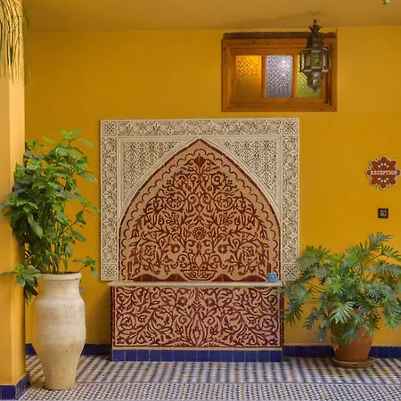 Medina Social Club-2