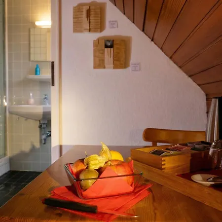 Rhein River Guesthouse - Direkt Am Rhein-2