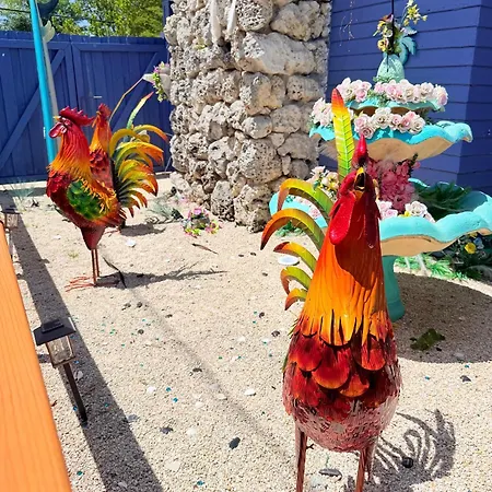 Blue Little Havana-3