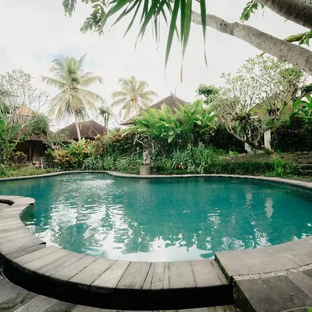 Arjana Bungalows 2-2