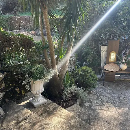 Sintra Center Guest House Escape To Nature-3