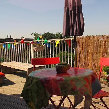 Wild Roses-2