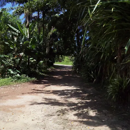 Laguna-3