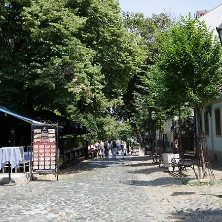 Room 25 Belgrade-3