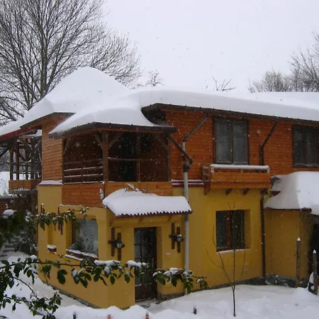 Casa Mica Guesthouse-3