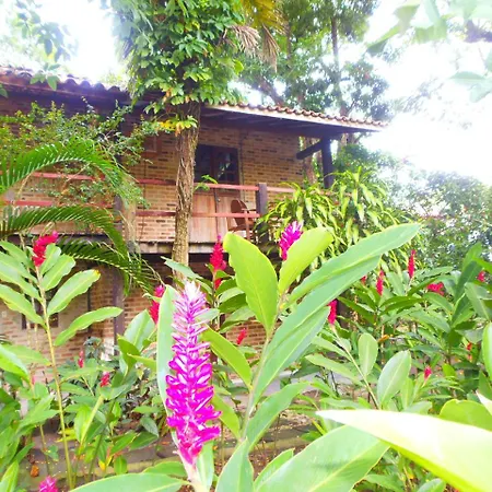 Pousada Jardim Da Praia-3