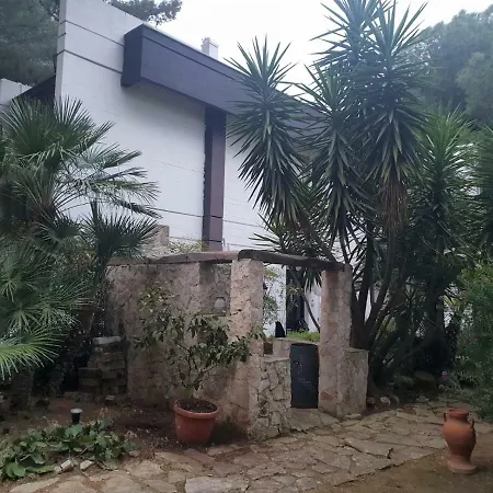 Natural Home-3