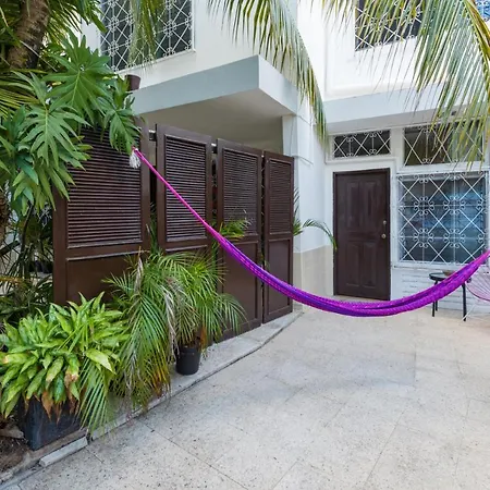 Casa Tropical-2