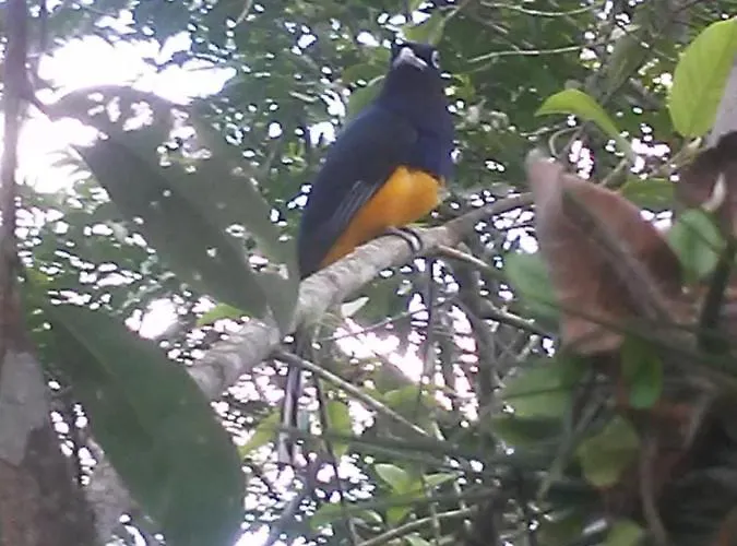 Chacara Recanto Dos Recantos