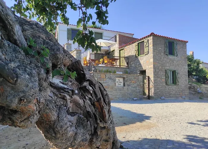 The Hill Village House