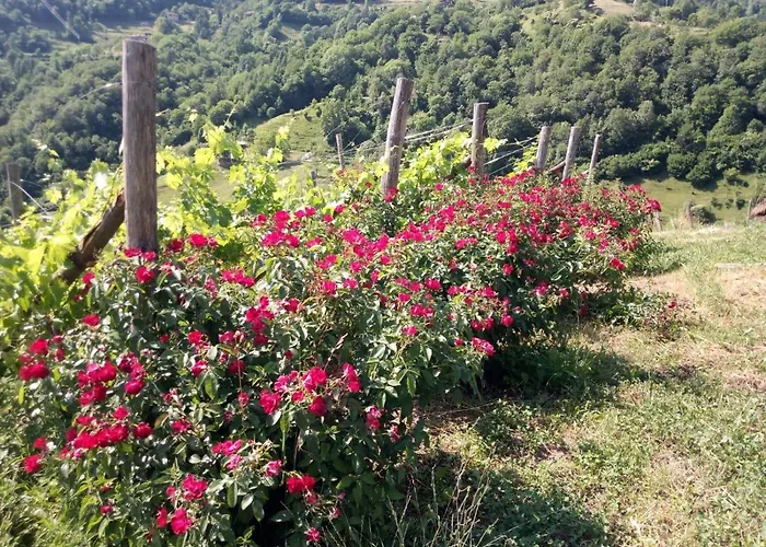 Ca' del Rì