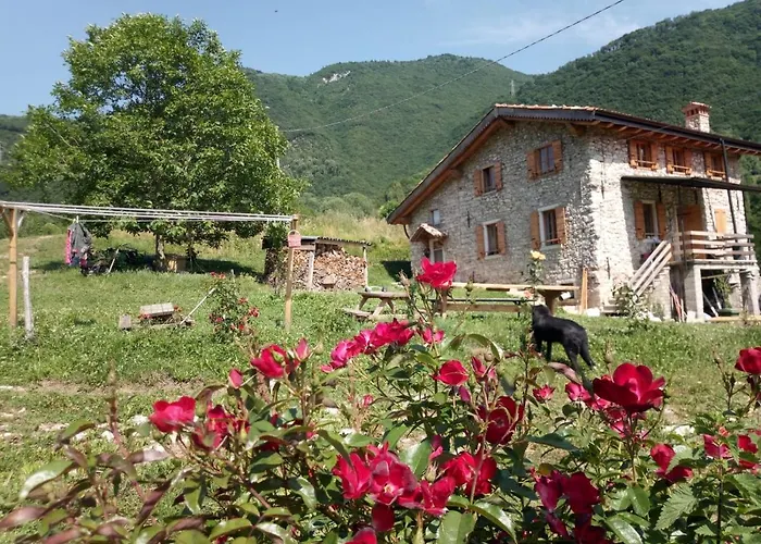 Ca' del Rì