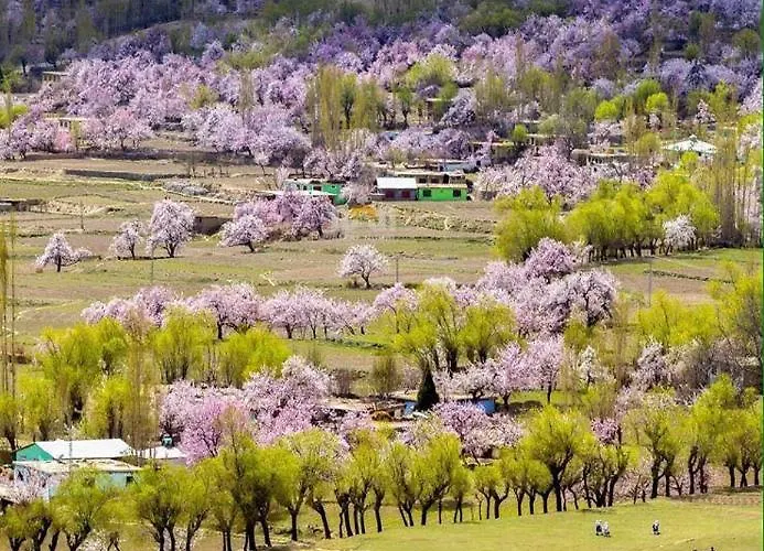 Snow Land Guest House Naran