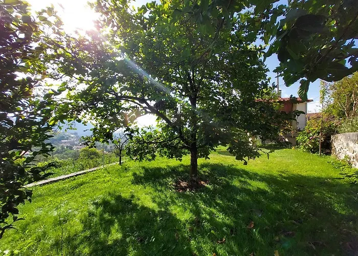 Castelo Dos Sonhos