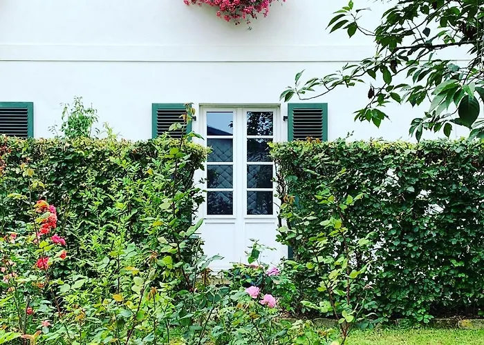 Isabelle'S Rosegarden