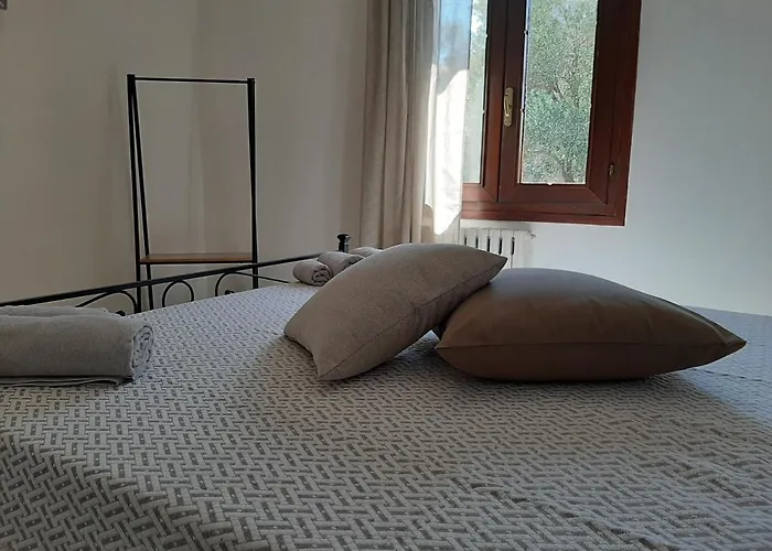 Padiz Room