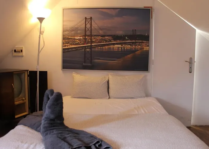 Albergue: Party Zone