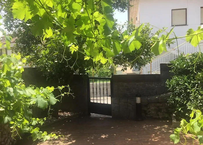  Vivienda Vieja Cepa