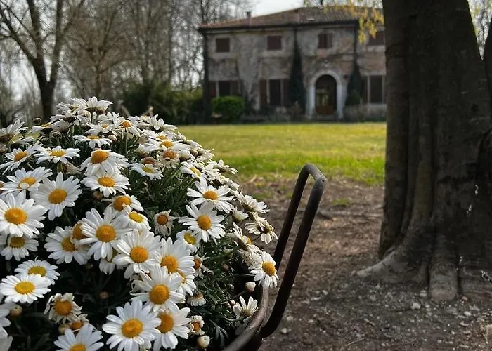 Casa vacanza: Agriturismo Corte San Girolamo
