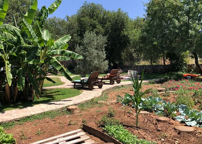 Tiny House Kayakoey Kumquat