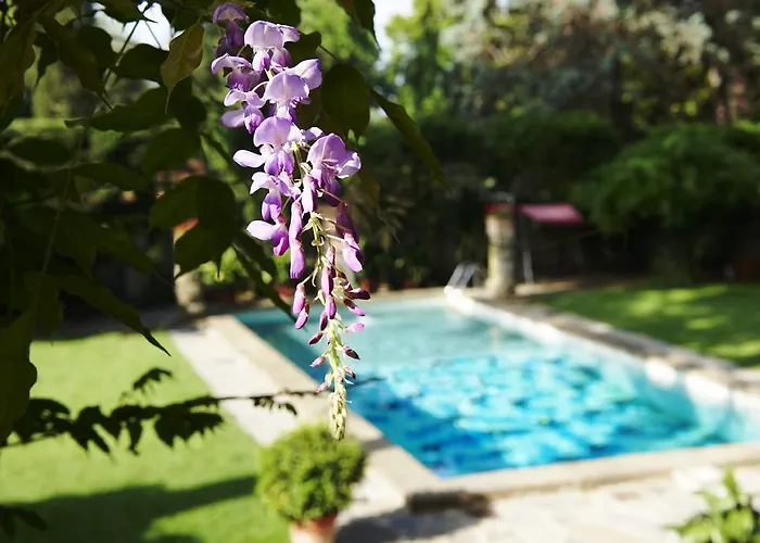 Hotel con golf: Park Palace Hotel