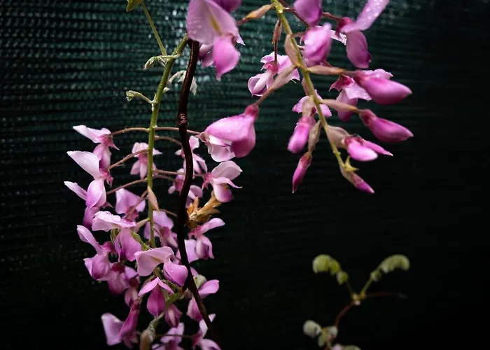 Villa privata: Il nido degli angeli