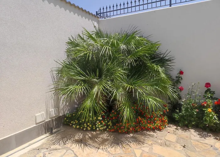 Terra D'Aspra