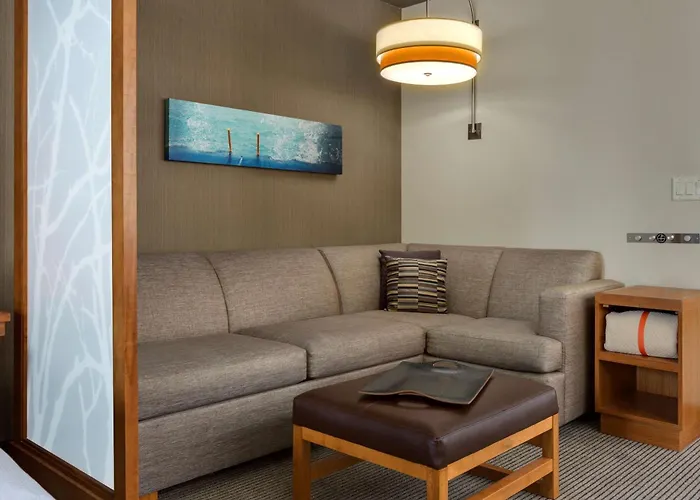 Resort: Hyatt Place Chicago/Downtown - The Loop