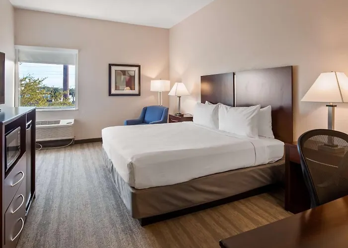 Family Hotel: Best Western Tampa