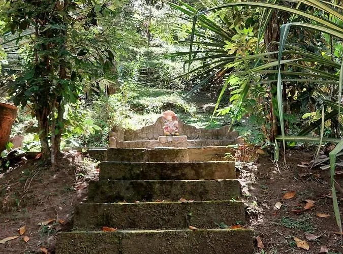 Monte Carmelo Inn Sana