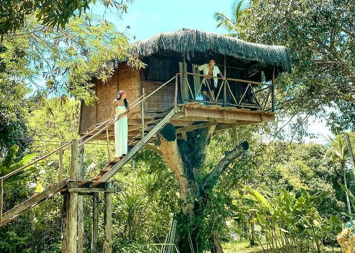 Art Jungle Eco Lodge