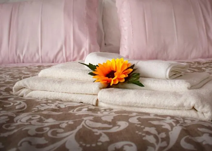  Flor&Fidalgo Guest House
