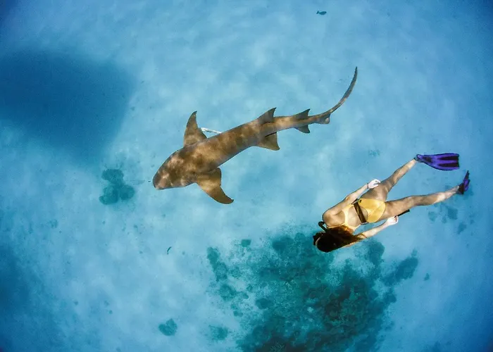 Tides Dhigurah