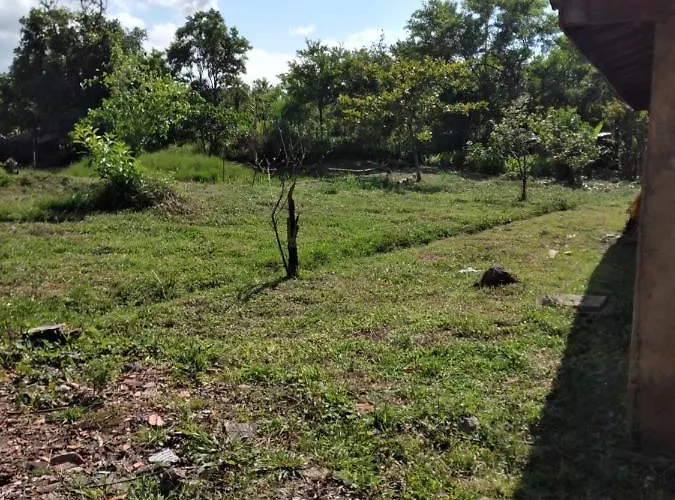 Pedacinho Do Paraiso