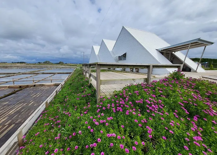 Hotel de luxo Apenas: Barcos Casa Aveiro