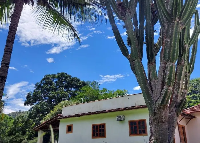 Eco Palmeira