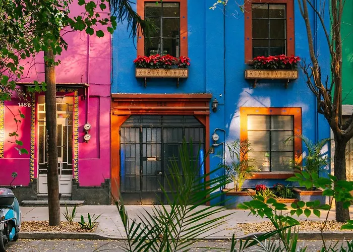 Sonder Cóporo