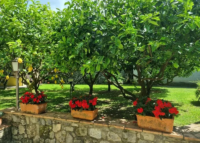 Albergo economico: Il Ruscello