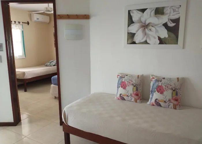 Vila Beija-Flor