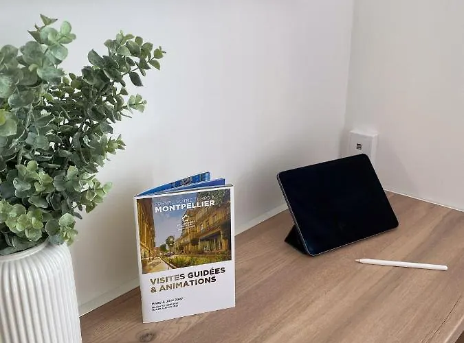 Chambre Climatisee Lit Double Dans Villa - Proche Centre Tramway