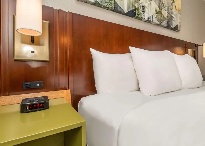 Family Hotel: Comfort Inn West