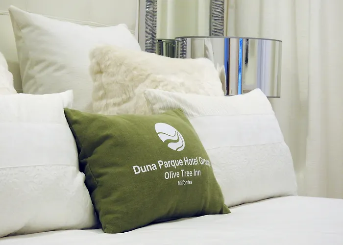 Milfontes Guest House - Duna Parque Group