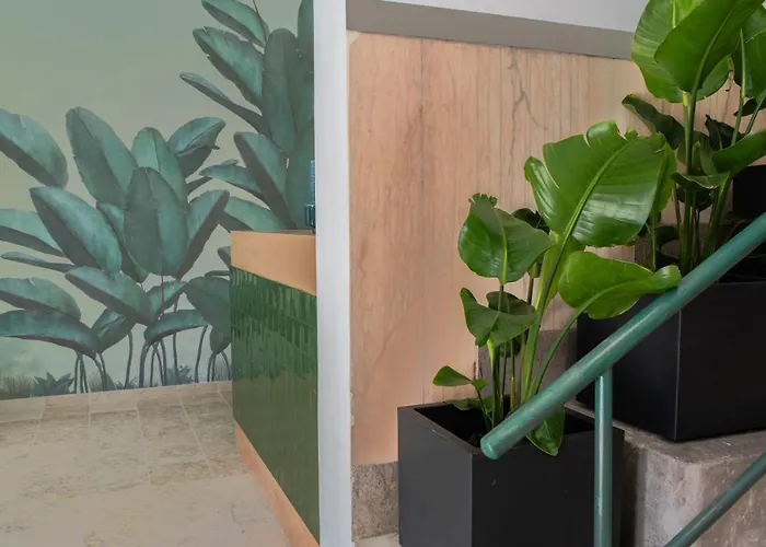 Succeed Campo Pequeno Suites