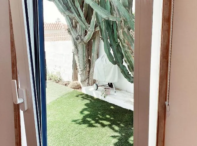 Casa Cactus