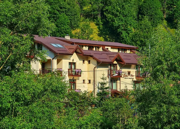 Pensiunea Vlahia Inn