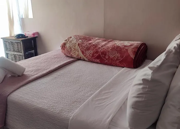 The Croc Guest House